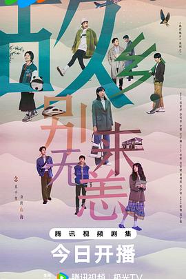 郑州网站优化推广特点